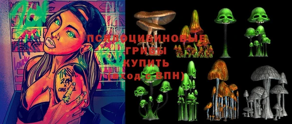 MDMA Богородицк